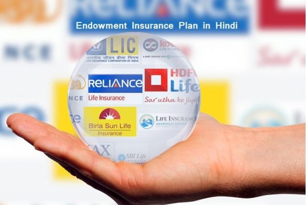 endowment-plan-meaning-in-hindi