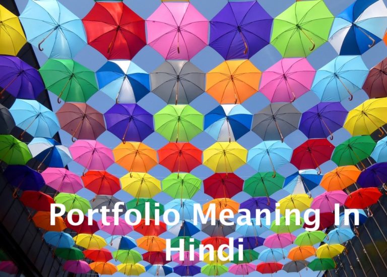 portfolio-meaning-in-hindi-share-bazar