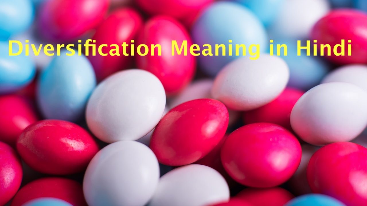 Diversification Meaning in Hindi डाइवर्सिफिकेशन